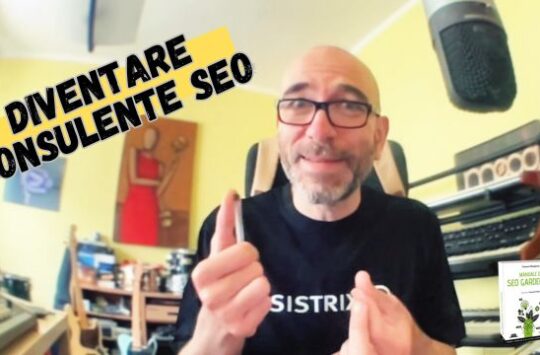 come diventare consulente seo